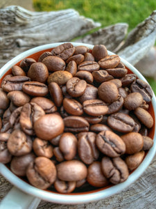 abide culture coffee roasters, abide culture coffee, abide culture, abide, coffee, theABIDEproject, AB1DE, abide drip, drip, brazil, espresso, organic, fair trade,